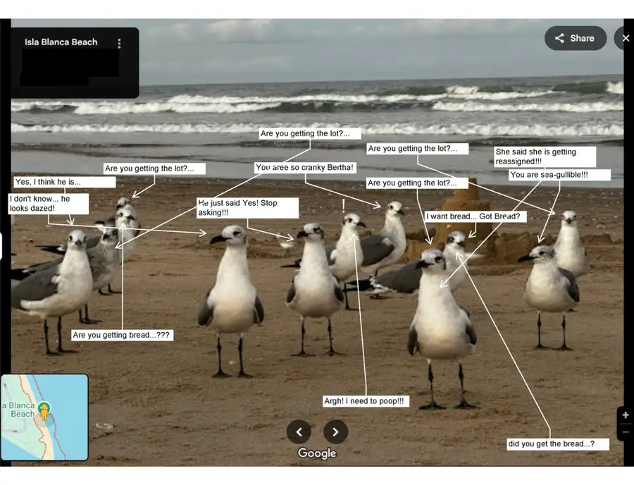 000 Green Valley Drive, San Benito, TX 78586 - Image #2