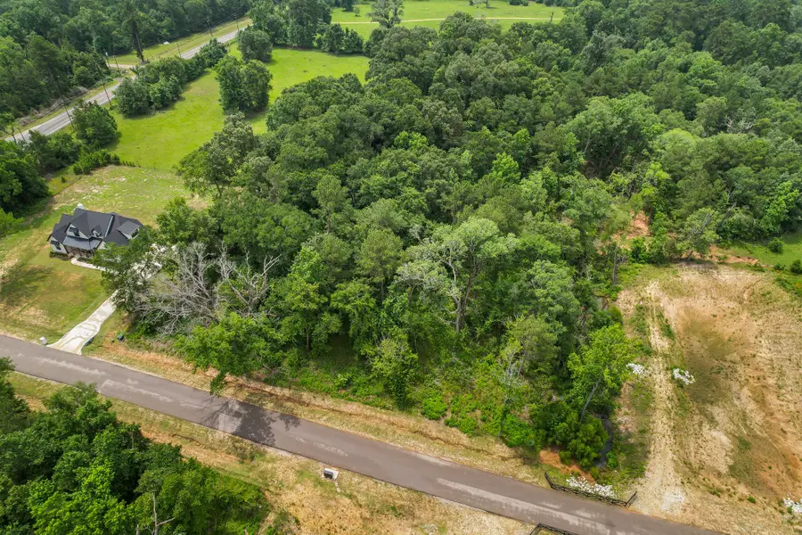 24819 Two Rivers Road, Montgomery, TX 77316 - #2