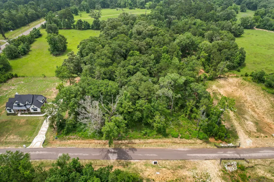 24819 Two Rivers Road, Montgomery, TX 77316 - #3