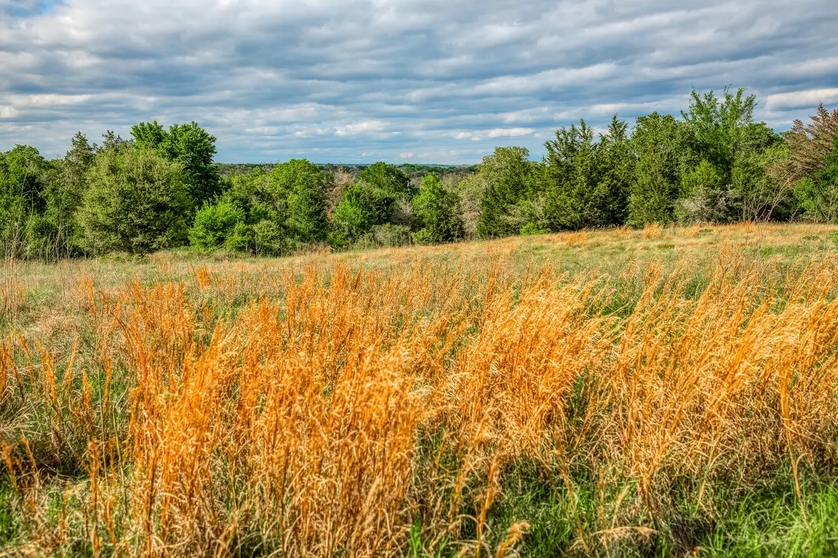TBD (56.135 Acres) County Road 125, Ledbetter, TX 78946 - #1