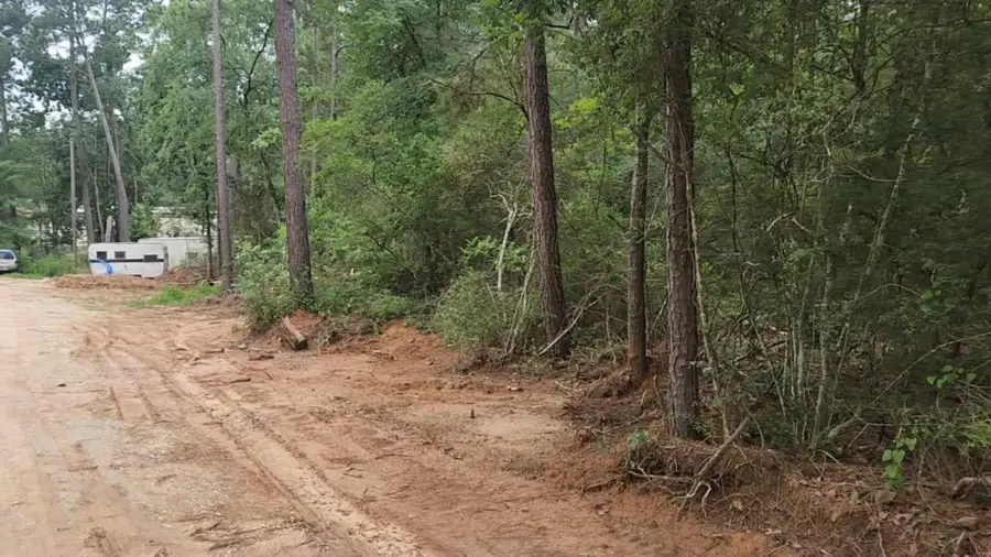 Lot 3 Scarlet Oak Drive, Plantersville, TX 77363 - #2