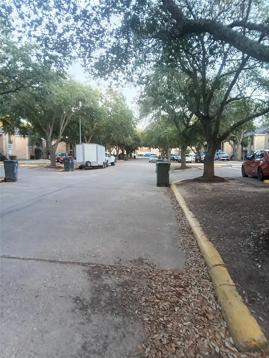1004 Gunnison Street, Sealy, TX 77474 - #3