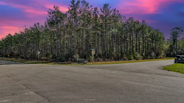 10999 Ruger Road, Willis, TX 77378