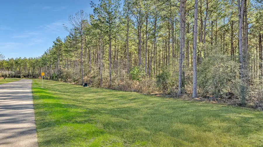 10999 Ruger Road, Willis, TX 77378 - #3
