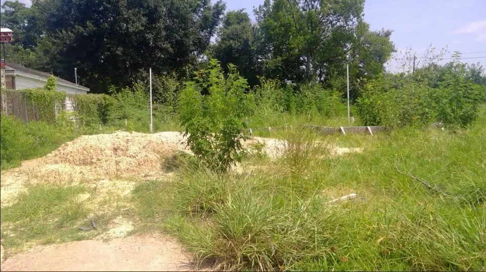 8783 Othello Street, Houston, TX 77029 - Image #1