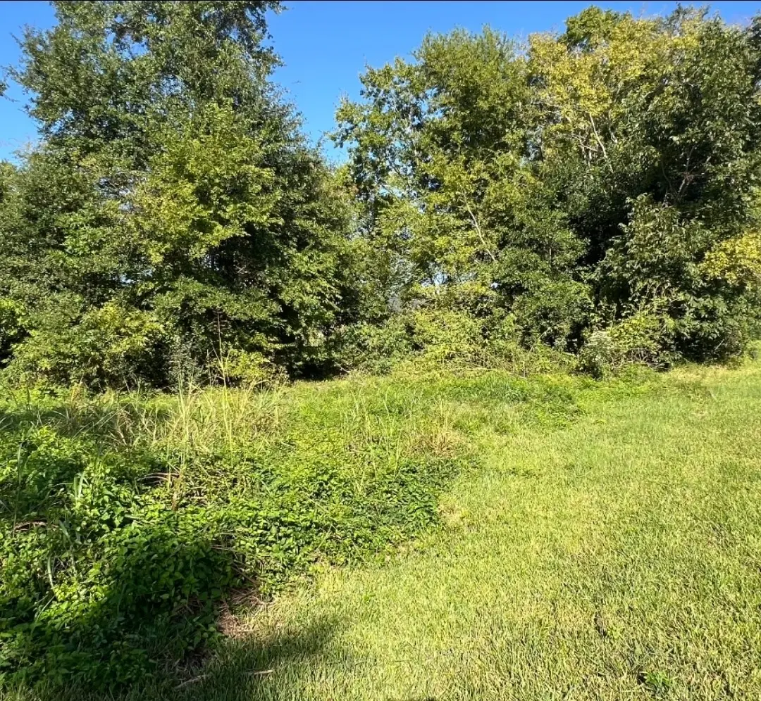 1400 W Virginia, Beaumont, TX 77705 - Image #1