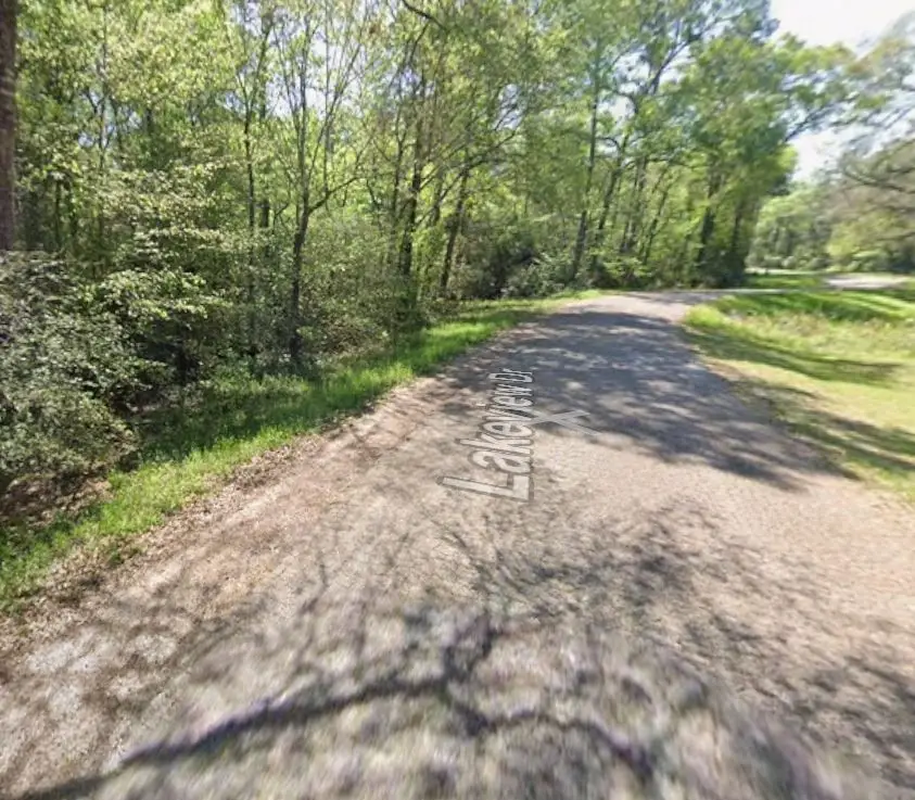 15452 Lakeview Drive, Conroe, TX 77302 - Image #1