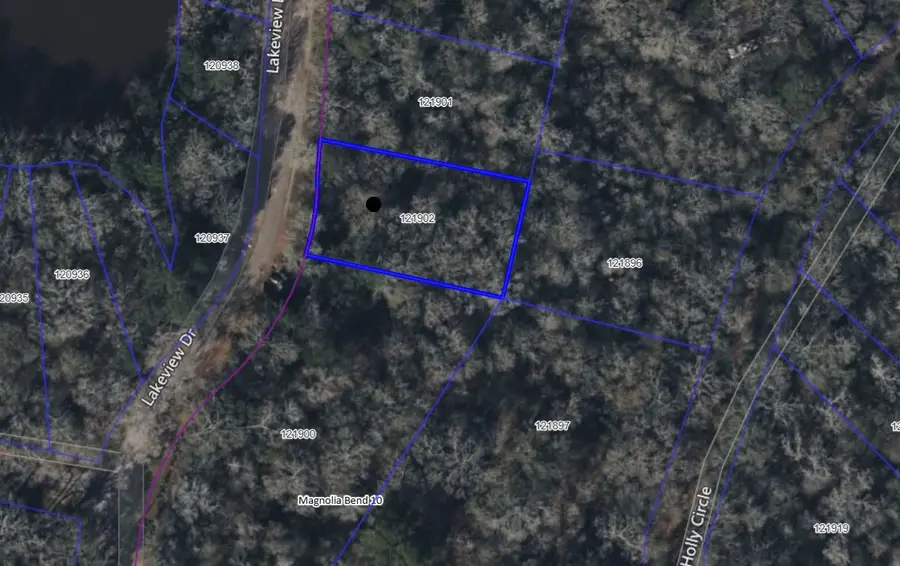 15452 Lakeview Drive, Conroe, TX 77302 - Image #2