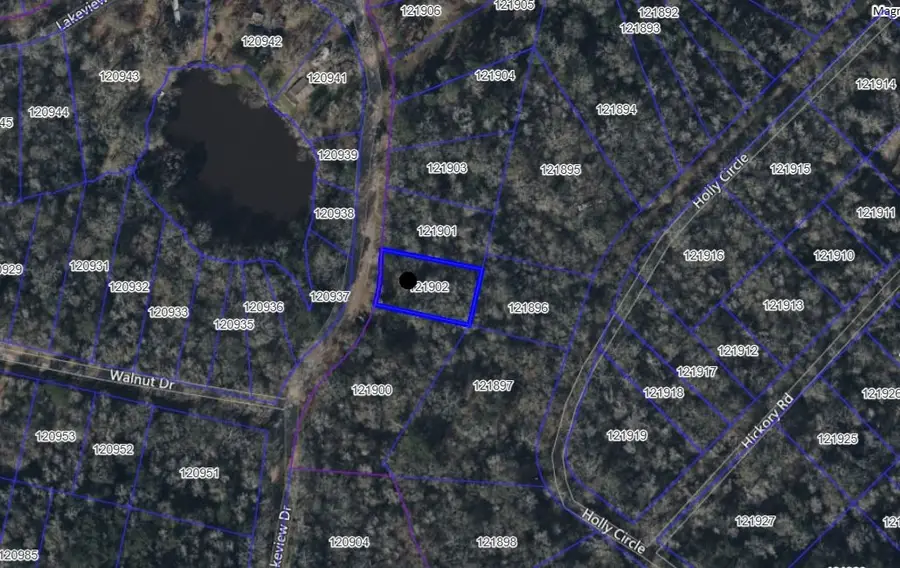 15452 Lakeview Drive, Conroe, TX 77302 - Image #3