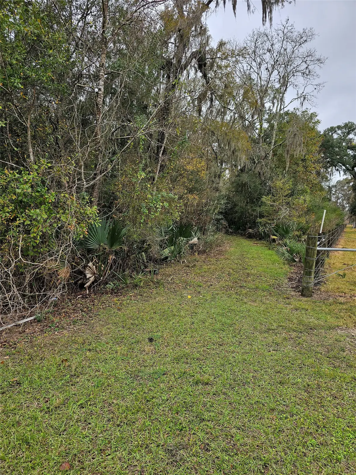 1070 County Road 136 / Live Oak, Van Vleck, TX 77482 - #1