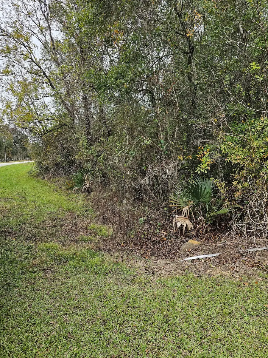 1070 County Road 136 / Live Oak, Van Vleck, TX 77482 - #2