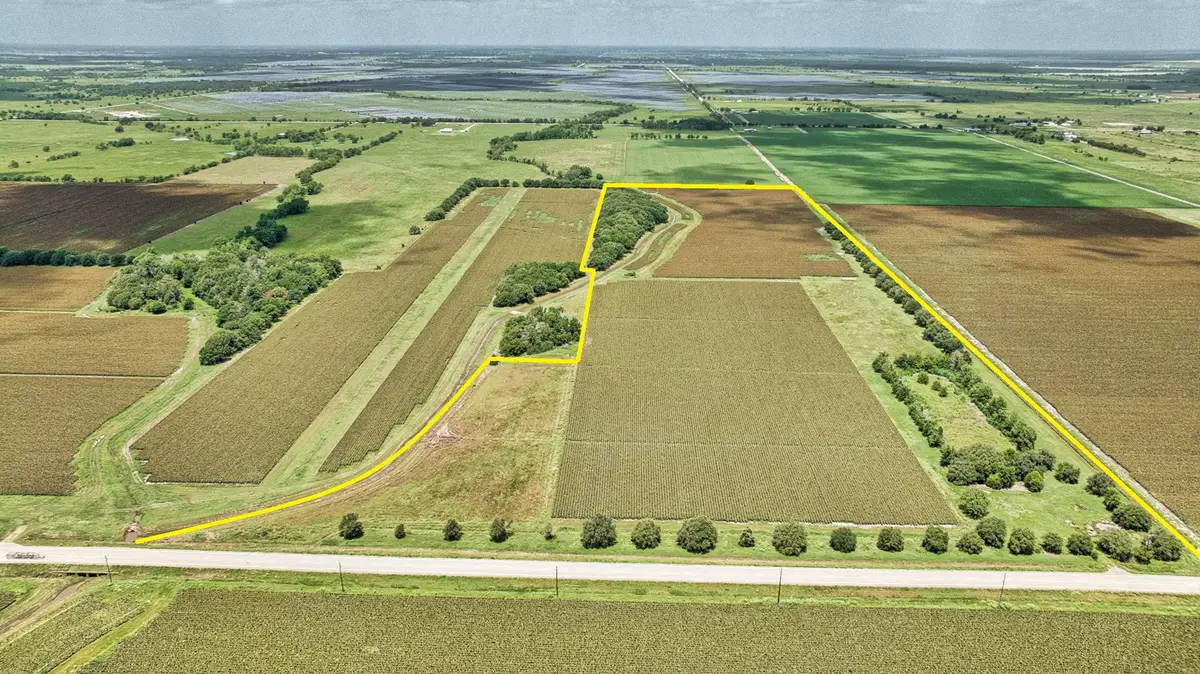 TBD Fm 1462 Road, Damon, TX 77430 - Image #1