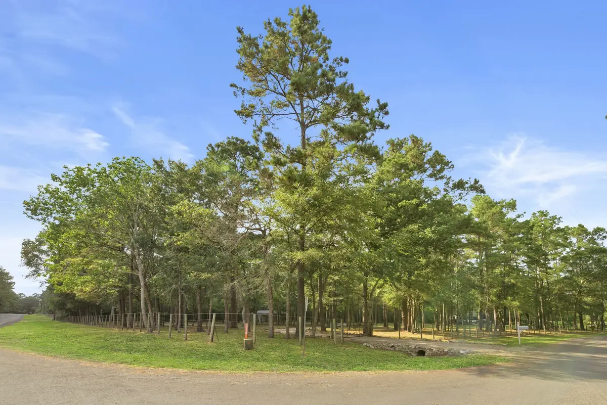 15728 Golden Rain Lane, Plantersville, TX 77363 - Image #1