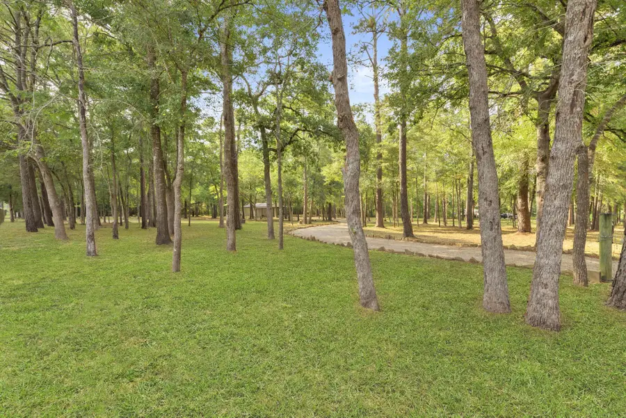 15728 Golden Rain Lane, Plantersville, TX 77363 - Image #2