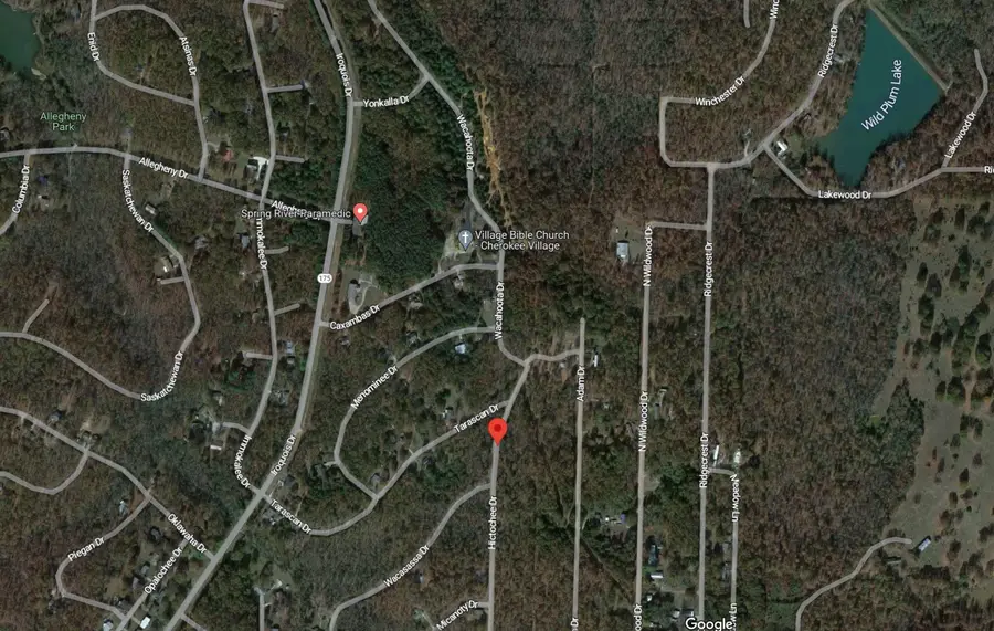 0 Hichtochee Drive, Highland, AR 72542 - Image #3