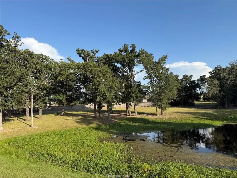9901 Hunters Run, College Station, TX 77845 - #2