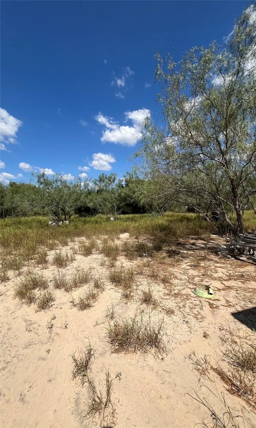 511 N Fm 649, Roma, TX 78584 - Image #2