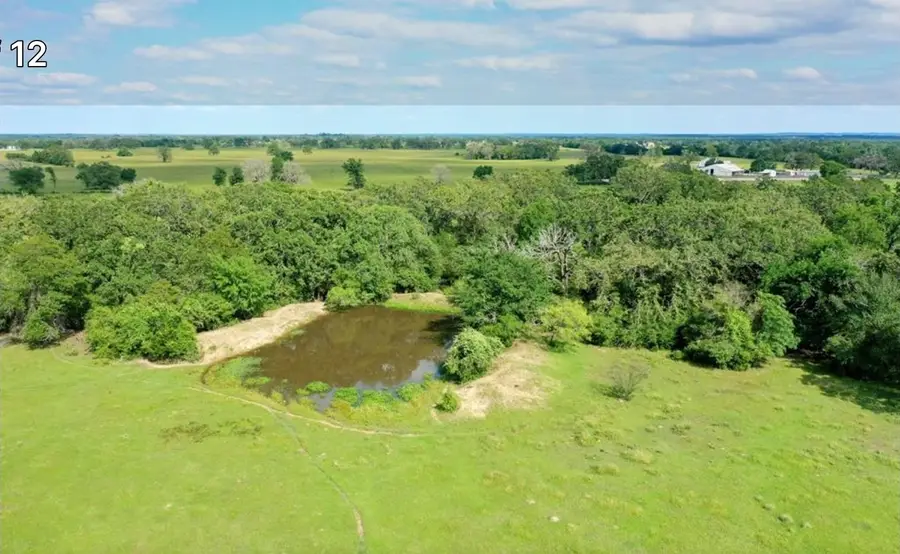 2880 Fm 2158 / Lot 5, Midway, TX 75852 - Image #3