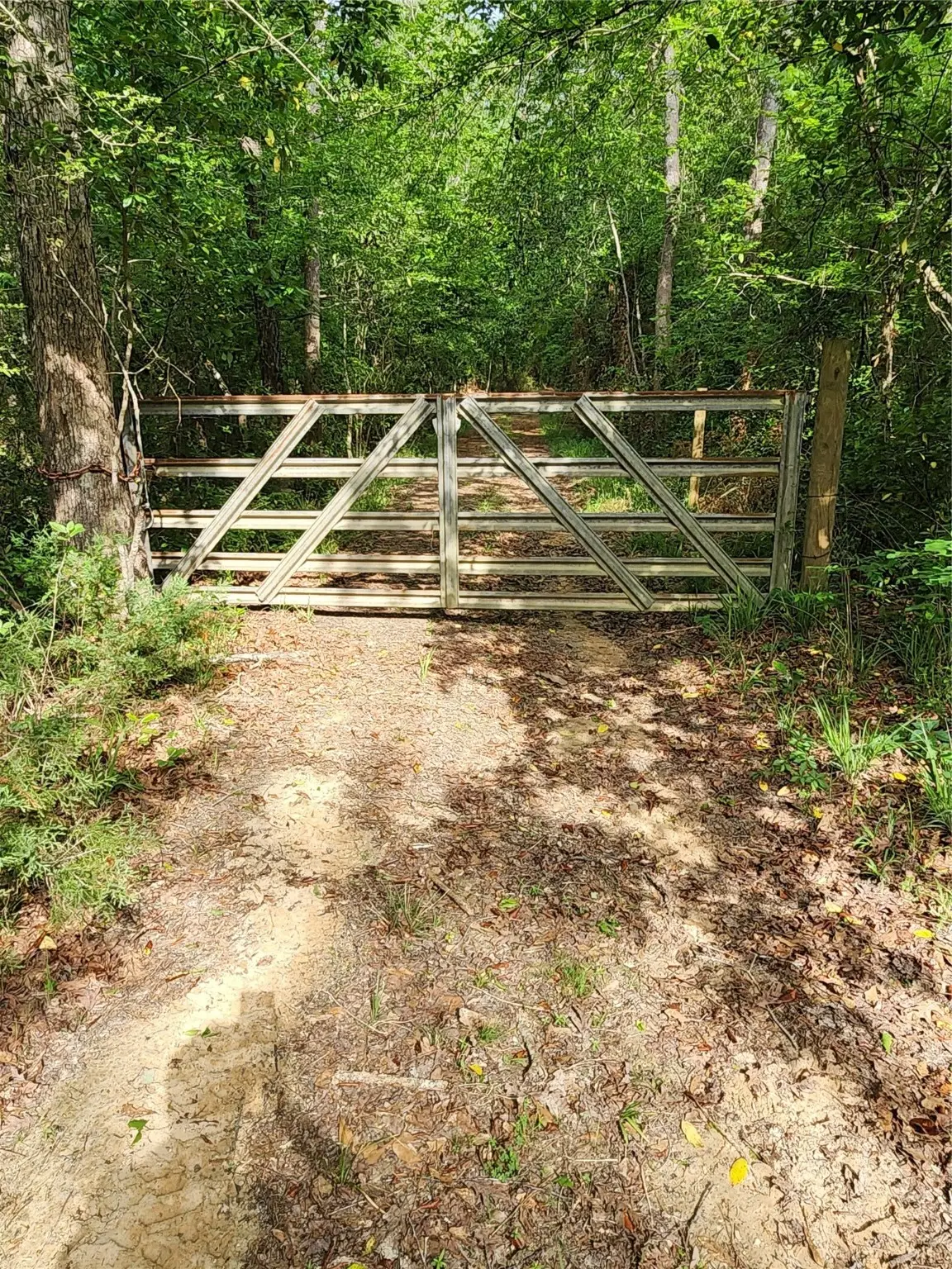 TBD Ward Road, Cleveland, TX 77328 - Image #1