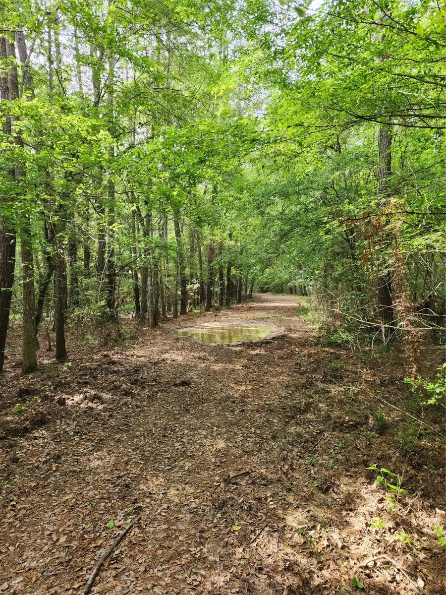 TBD Ward Road, Cleveland, TX 77328 - Image #3