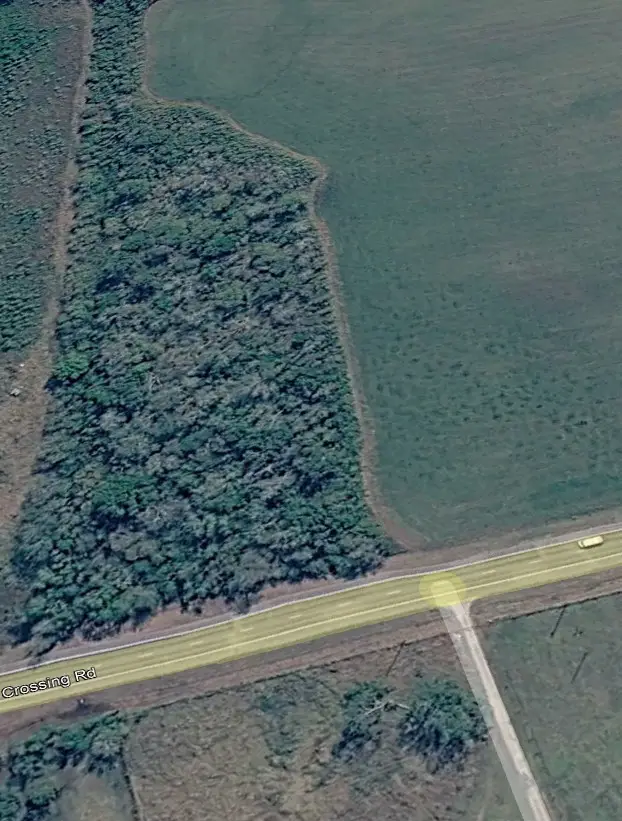 0 Fm 442 Road, Boling, TX 77420 - #2
