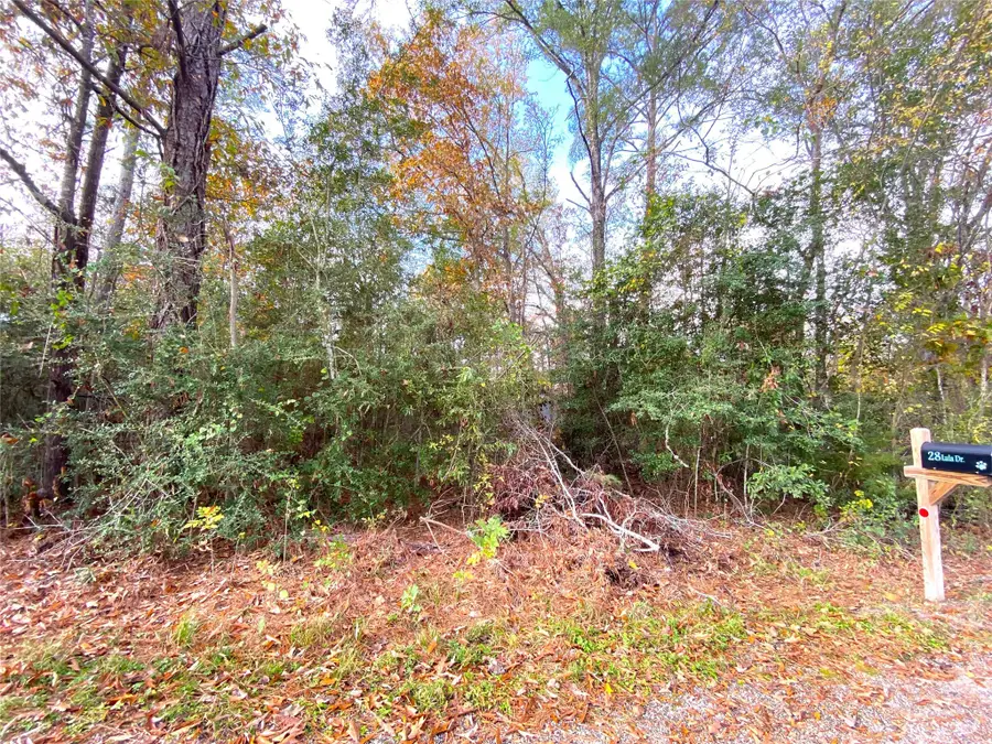 LOT 20 Lula Drive, Huntsville, TX 77320 - #2