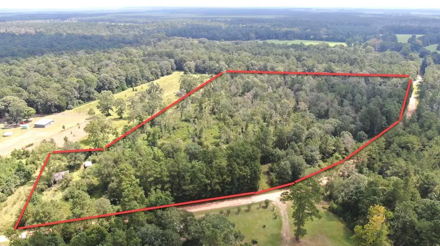 2651 Bluewater Road, Livingston, TX 77351 - Image #2