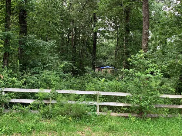 31110 Goldenrod Lane, Magnolia, TX 77354