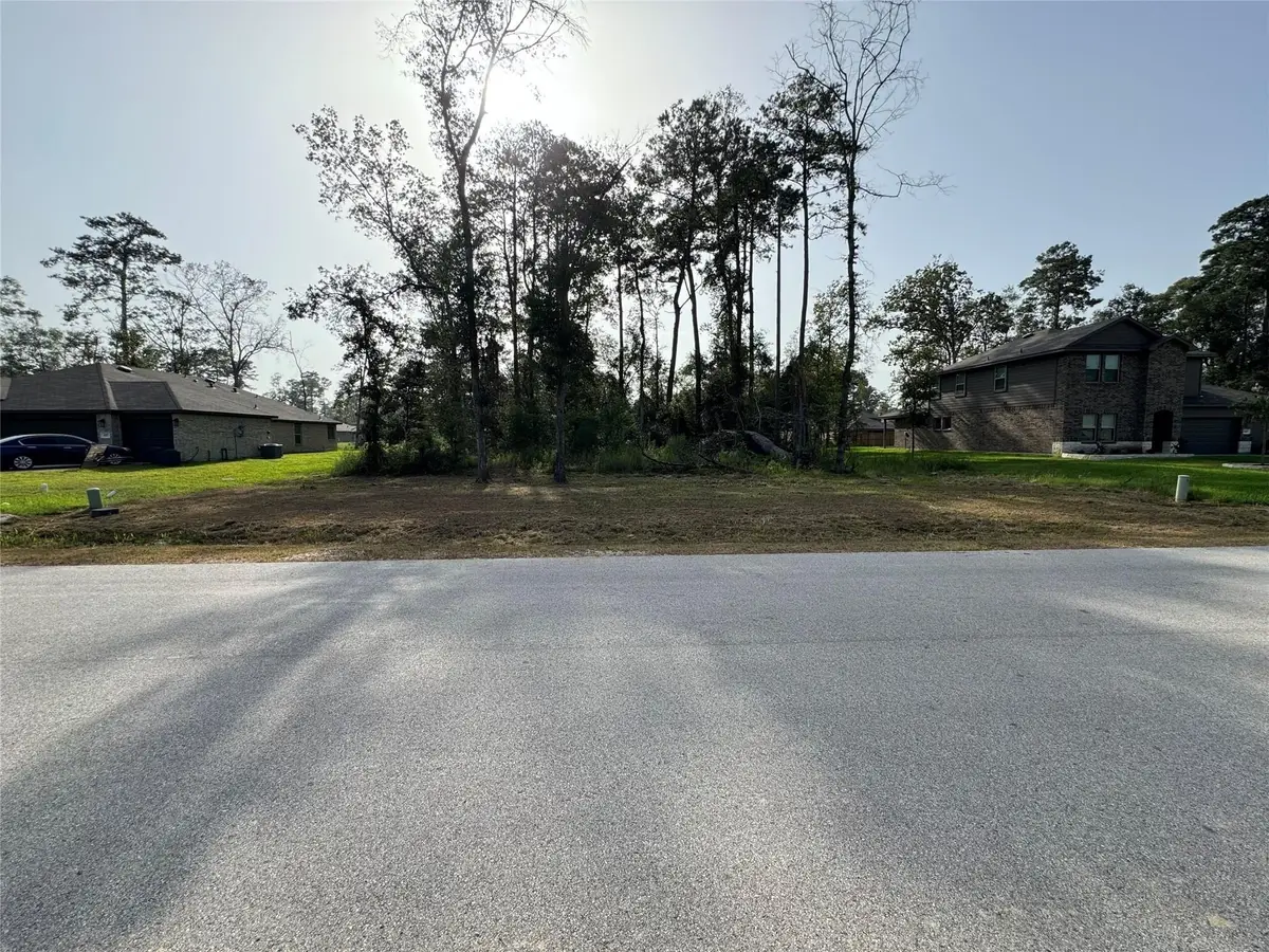 0 Republic Road, New Caney, TX 77357 - Image #1