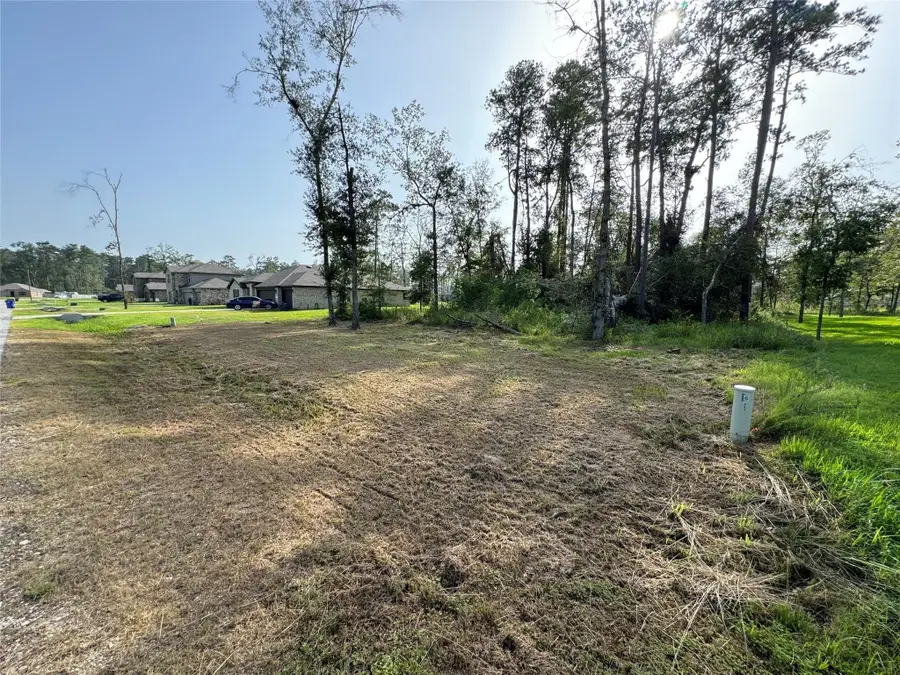 0 Republic Road, New Caney, TX 77357 - Image #3