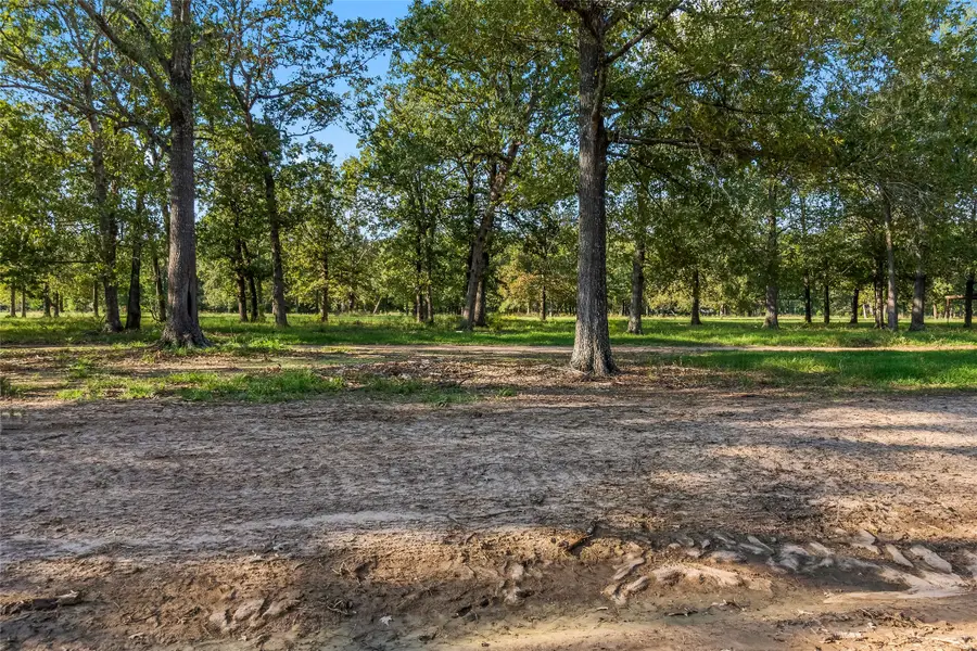 6105 Alans Memorial Lane, New Waverly, TX 77358 - Image #3