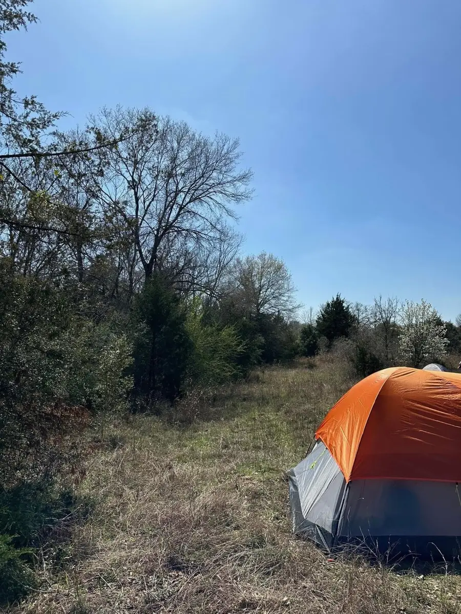 0 Mustang Loop Lane, Madisonville, TX 77864 - Image #2