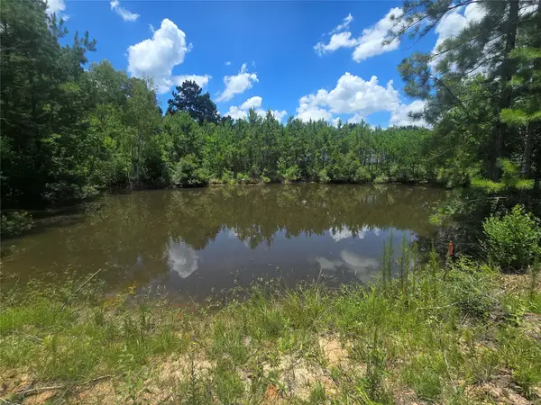 26131 Crown Ranch Boulevard, Montgomery, TX 77316