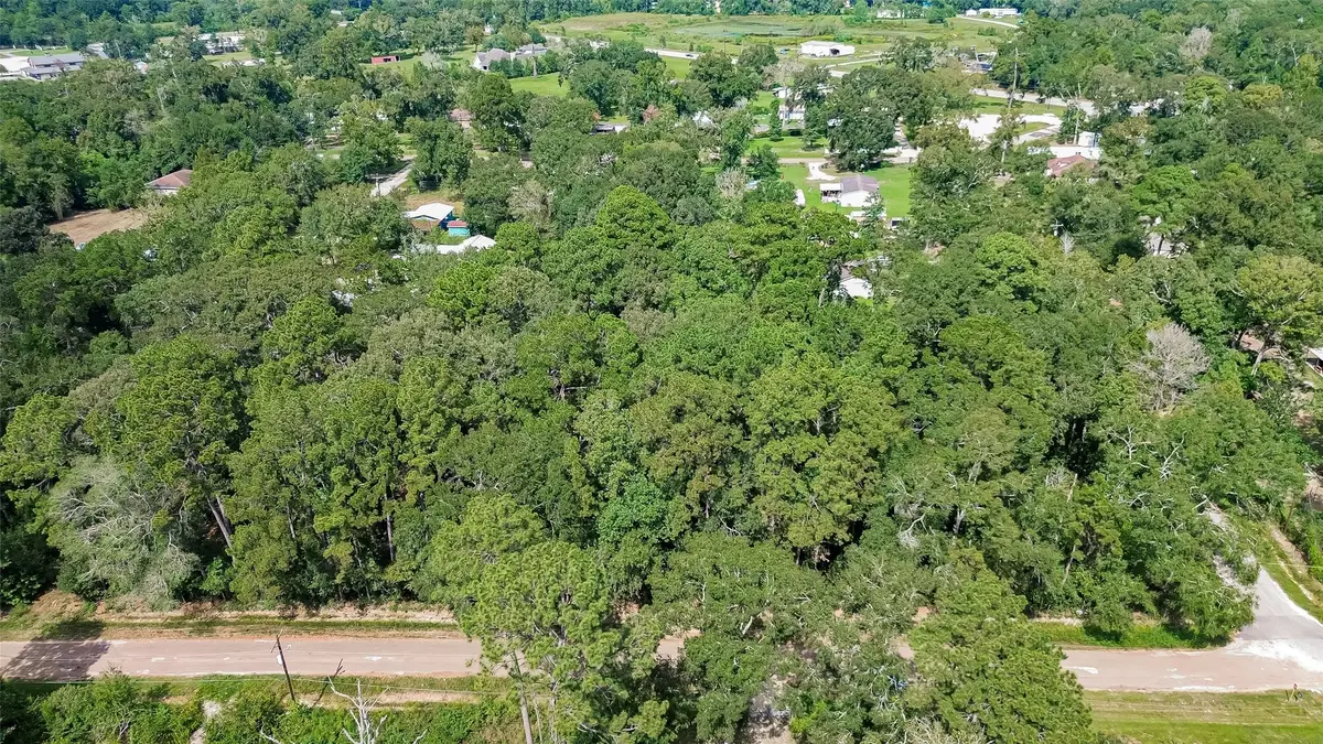 14557 Short Lake, Splendora, TX 77372 - #1