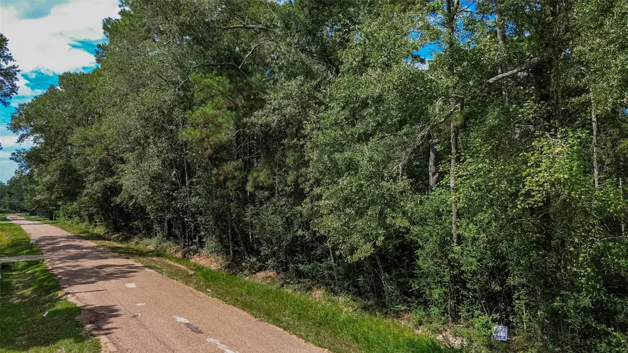 14557 Short Lake, Splendora, TX 77372 - #2