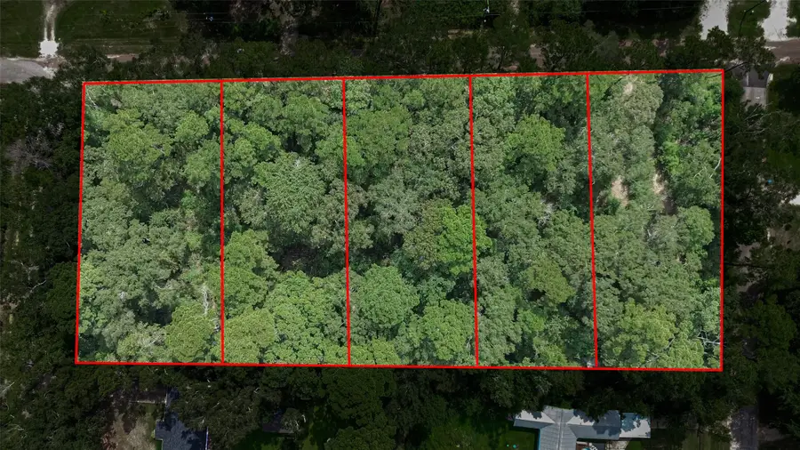 14557 Short Lake, Splendora, TX 77372 - #3