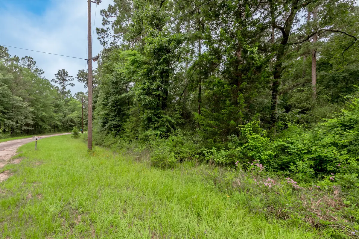 Lot 55 Post Oak Circle, Trinity, TX 75862 - #1