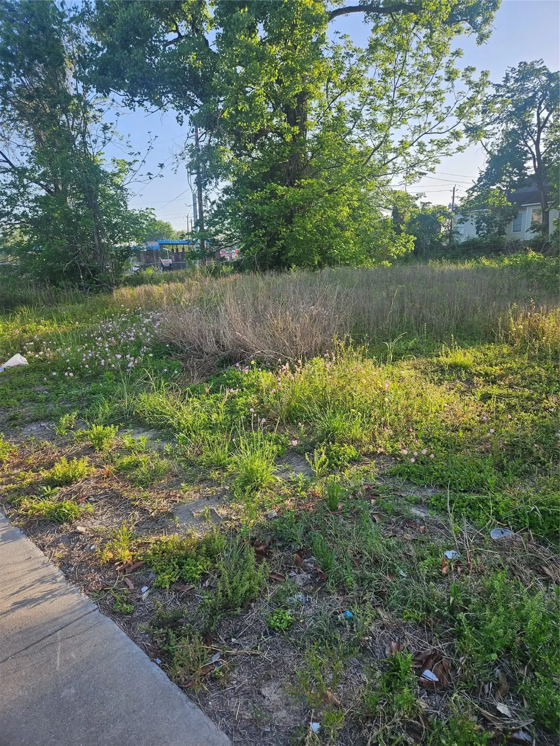 TBD-01-01 Wheatley Street, Houston, TX 77091 - Image #1