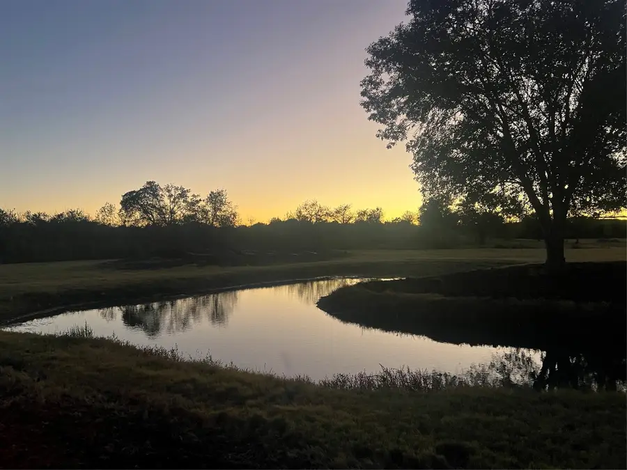 10250 Jenny Lynn Lane, Chappell Hill, TX 77426 - Image #3