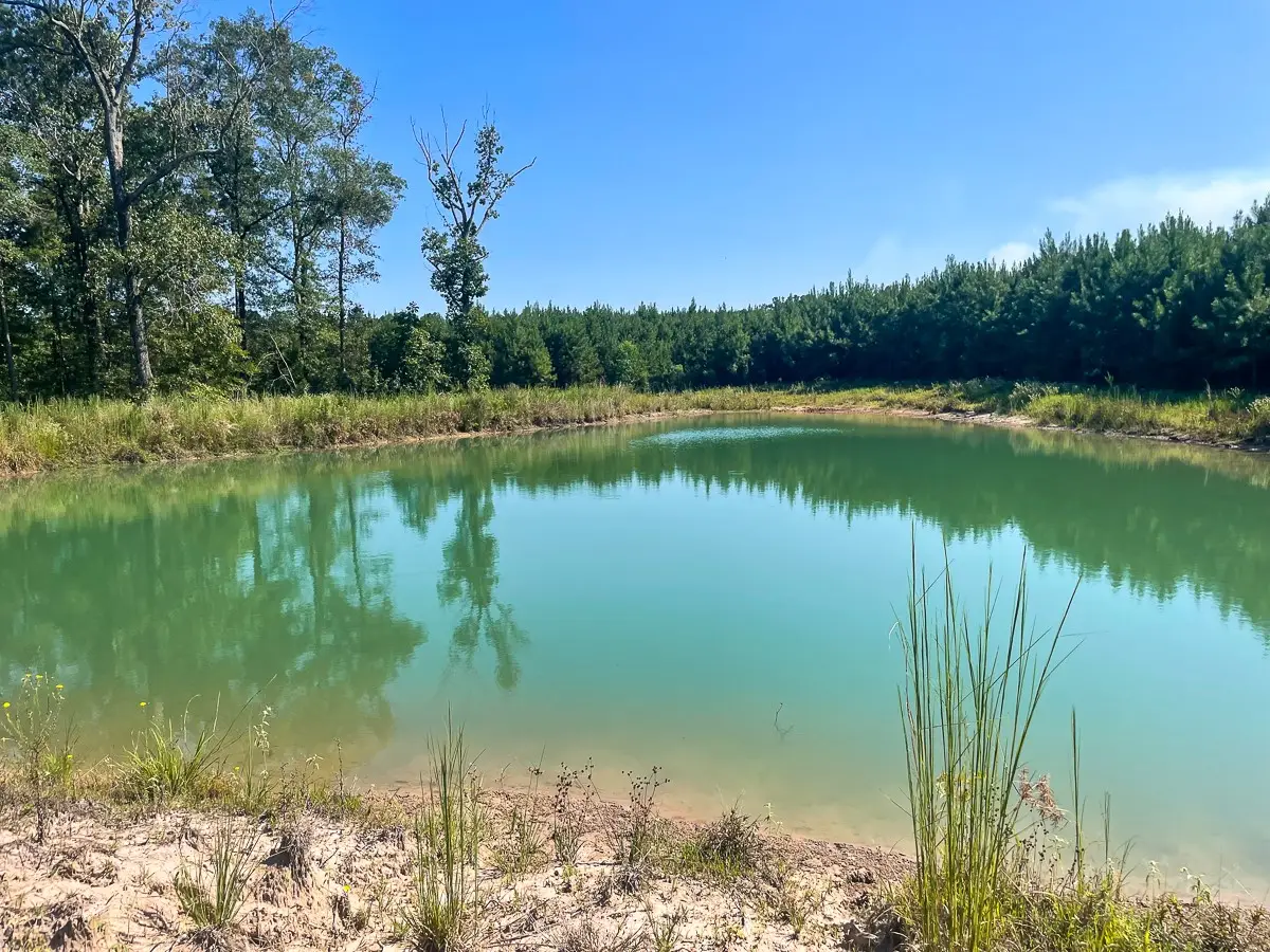 TBD Union Springs Rd, Corrigan, TX 75939 - Image #1