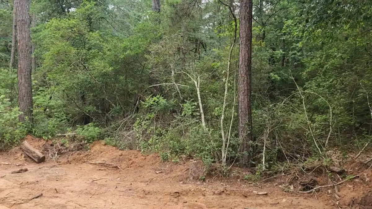 Lot 3 Scarlet Oak Drive, Plantersville, TX 77363 - Image #1