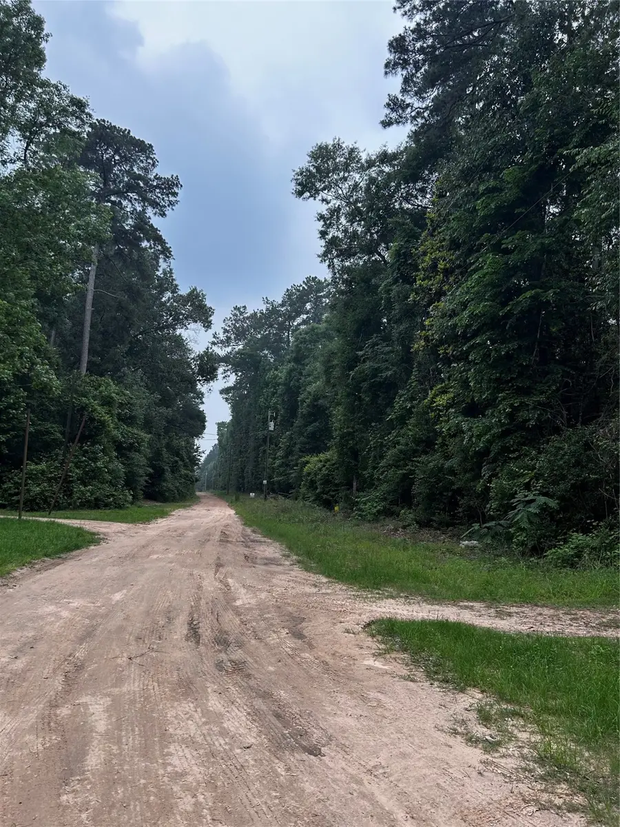 00 Bill Monroe Road, Livingston, TX 77351 - #2