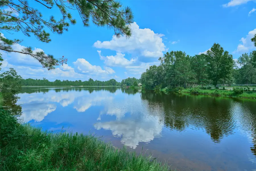 2218 Honea Egypt Road, Magnolia, TX 77354 - #2