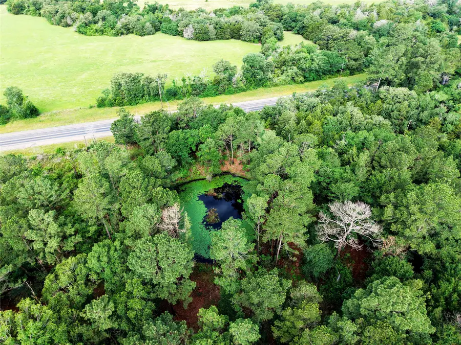 TBD Highway 90 N, Bedias, TX 77831 - #3