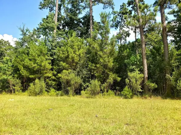 109 Kings Lake Estates Boulevard, Humble, TX 77346