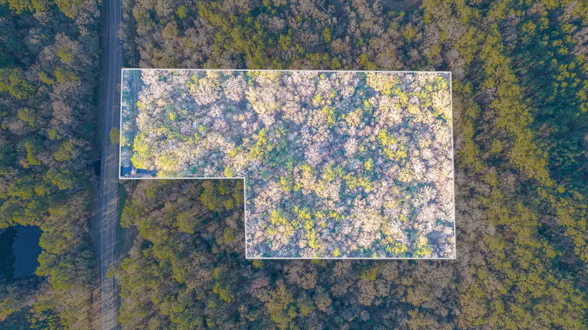 000 Fm 1003 Rd S, Kountze, TX 77625 - Image #1