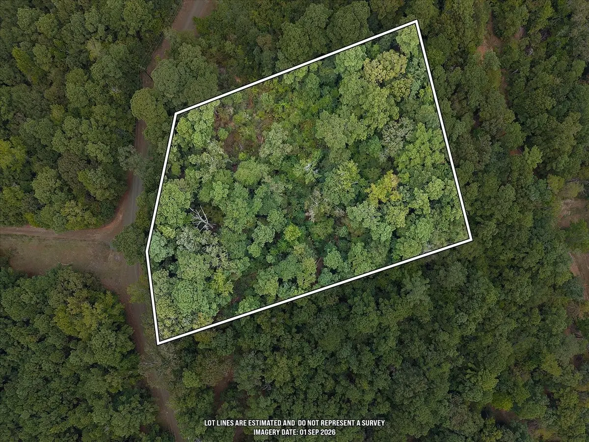 0 Rods Road, Hemphill, TX 75948 - #1