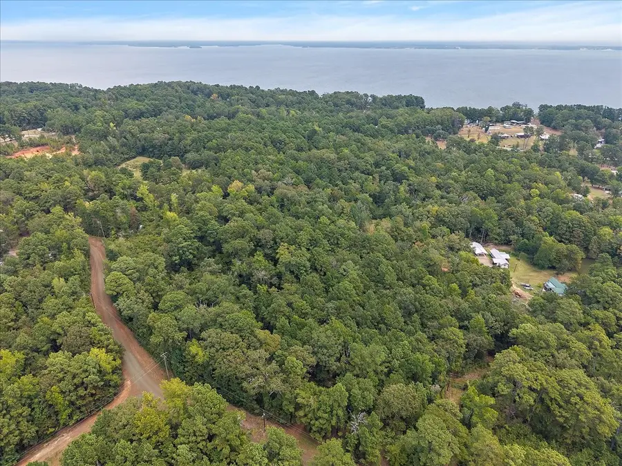 0 Rods Road, Hemphill, TX 75948 - #3