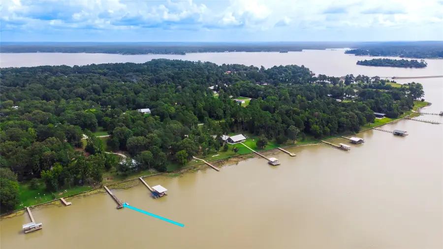 163 Deerwood Trail, Trinity, TX 75862 - Image #2