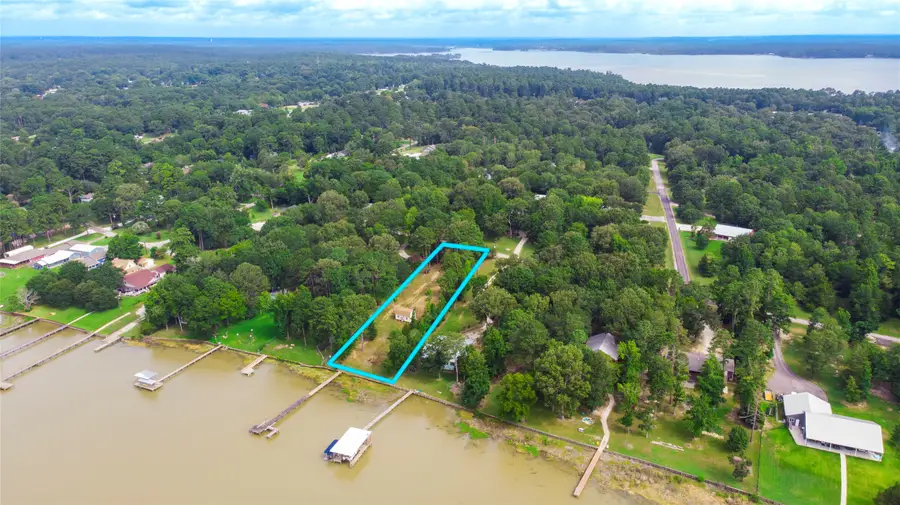 163 Deerwood Trail, Trinity, TX 75862 - Image #3